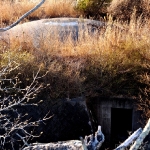 underground vault14.jpg